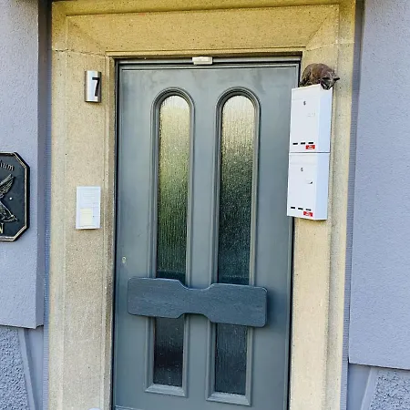 Ferienwohnung Suedschwarzwald Wehr  Esterno foto