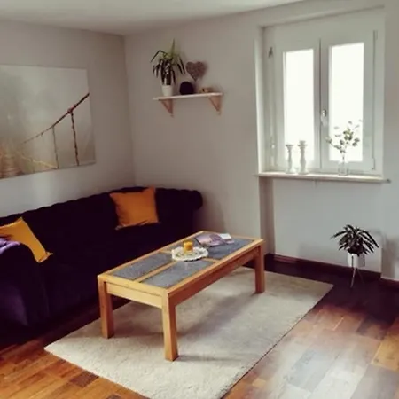 Ferienwohnung Suedschwarzwald Wehr  Esterno foto